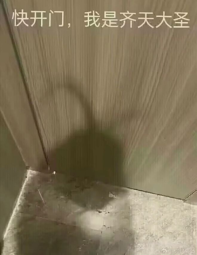 ：快开门我是齐天大圣！麻将胡了app轻松一刻(图4)